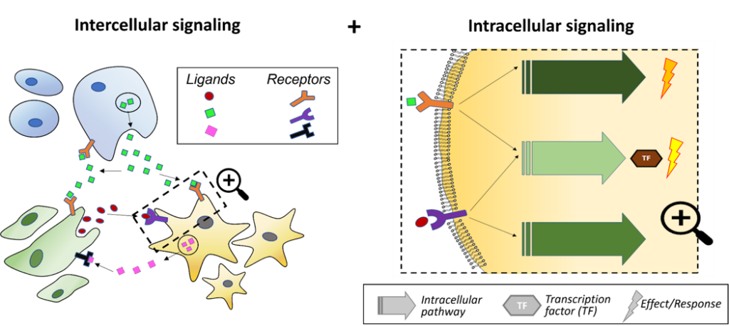 dissertation topics in bioinformatics